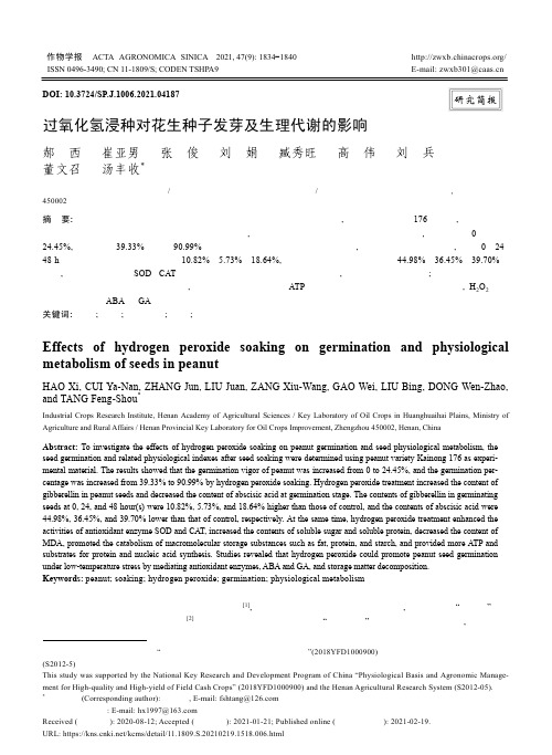 过氧化氢浸种对花生种子发芽及生理代谢的影响