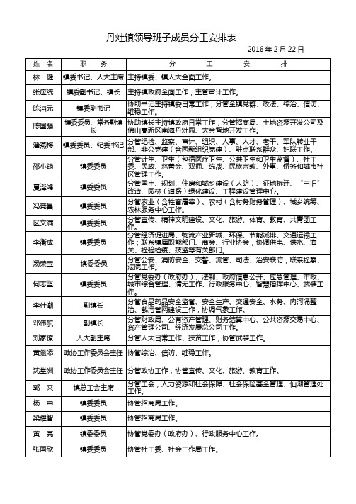 丹灶镇领导班子成员分工安排表【模板】