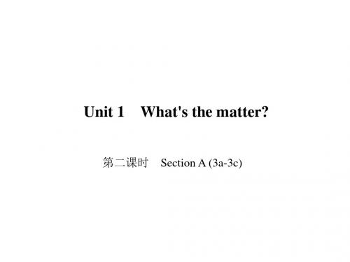 人教版八年级英语下册：Unit 1 第二课时 Section A (3a3c)