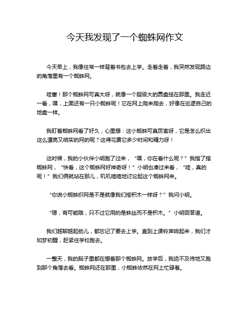 今天我发现了一个蜘蛛网作文