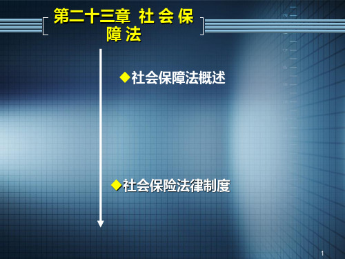 社会保险法律制度养老保险PPT课件