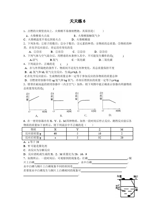 天天练6