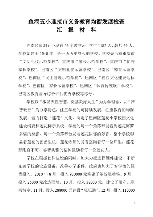 均衡发展检查汇报材料(五小)