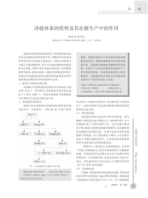 净能体系的优势及其在猪生产中的作用