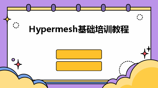 Hypermesh基础培训教程