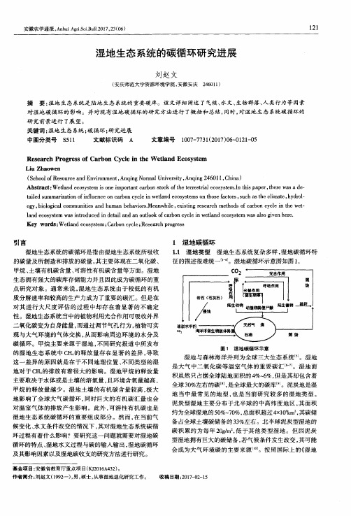 湿地生态系统的碳循环研究进展