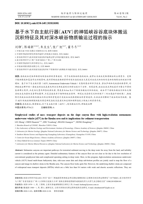 基于水下自主航行器(AUV)的神狐峡谷谷底块体搬运沉积特征及其对深水峡谷物质输运过程的指示