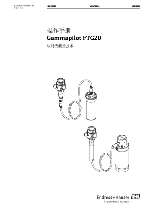 Gammapilot FTG20伽码物位开关操作手册_BA01035FZH_0212