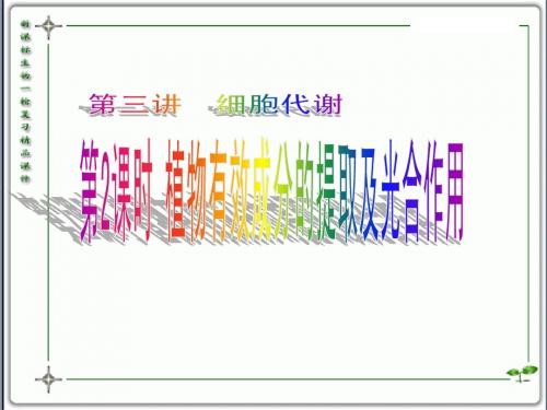 人教版教学课件云南省弥勒县庆来中学2011-2012学年高一生物 5.3.2 植物有效成分的提取及光合作用(课件)