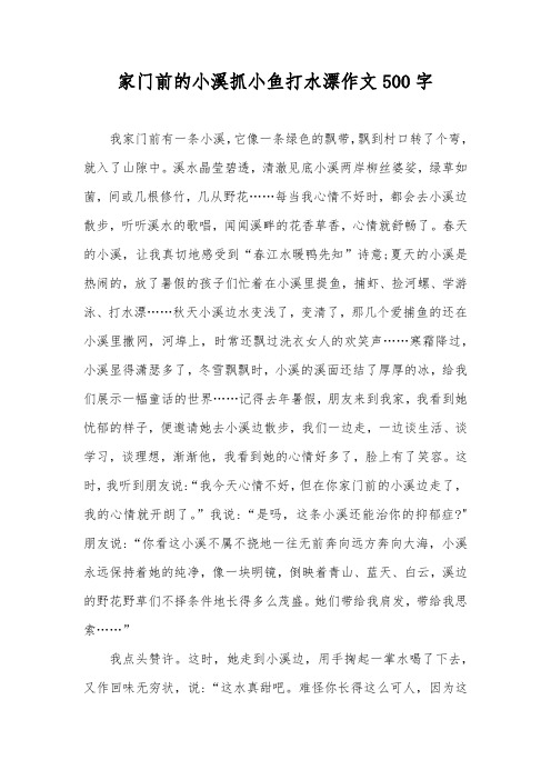 家门前的小溪抓小鱼打水漂作文500字