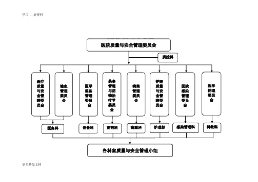 医院质量与安全管理委员会组织架构图汇编
