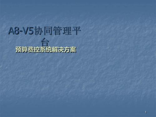 V5预算费控解决方案ppt课件