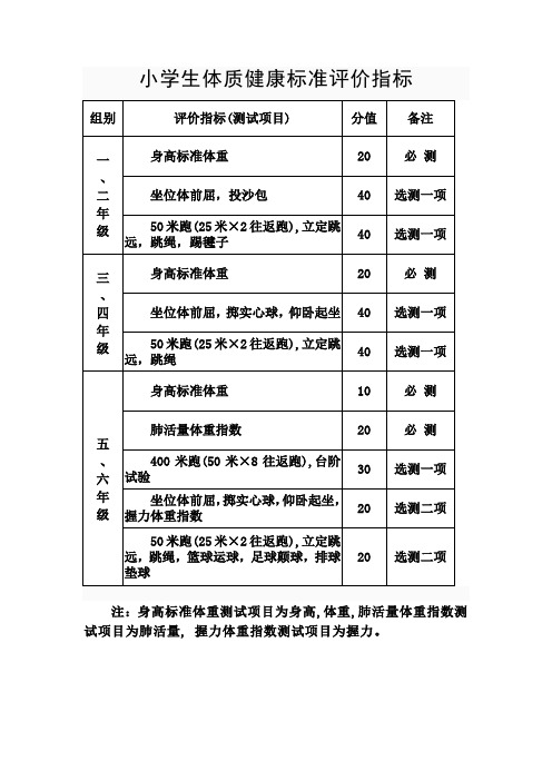 小学生体质健康标准评价指标