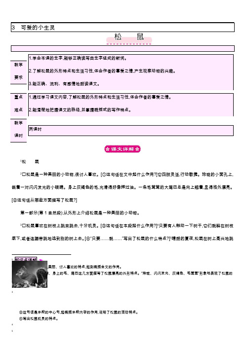 北师大版三年级下册语文教案3.2 松鼠
