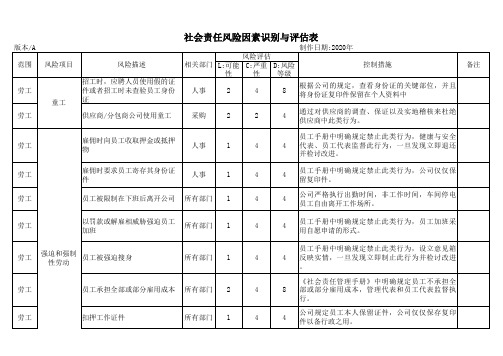 社会责任风险因素识别与评估表