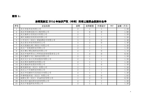 关于2013年东湖高新区企业专利