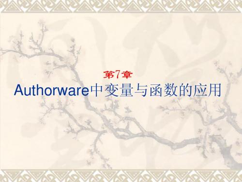 第7章 Authorware中变量与函数的应用