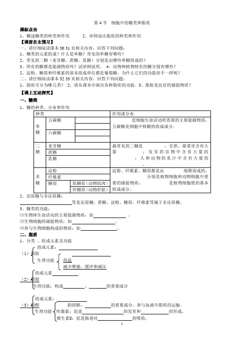 细胞中的糖类和蛋白质