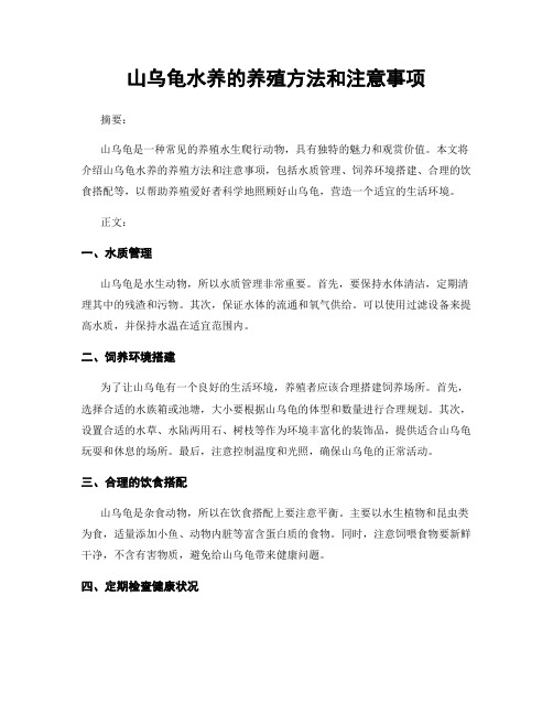 山乌龟水养的养殖方法和注意事项