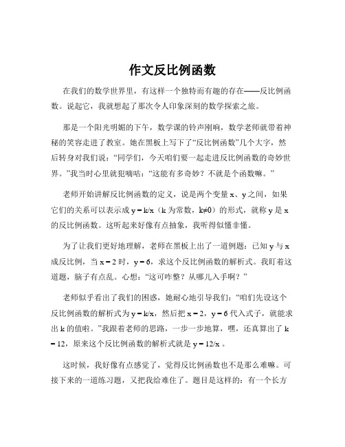 作文反比例函数