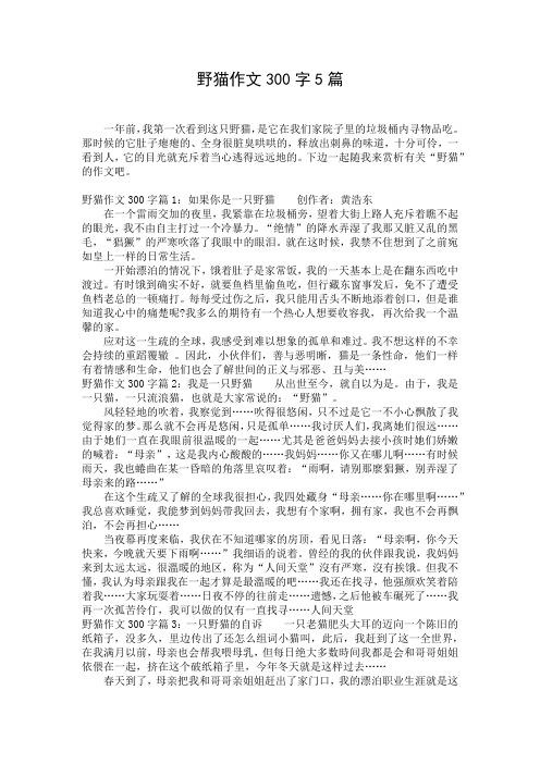 野猫作文300字5篇