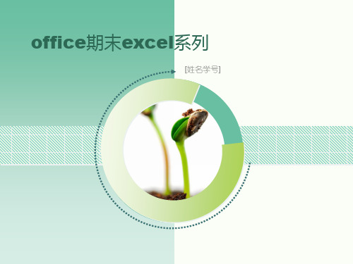 电子科技大学office作业PPT篇