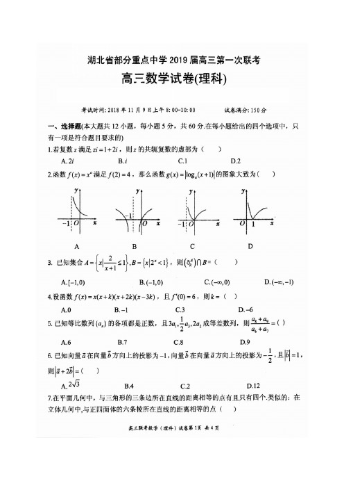 湖北省部分重点中学2019届高三第一次联考数学(理)试题(含答案)