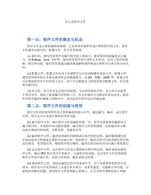 什么是程序文件