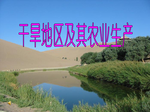 干旱地区及农业生产