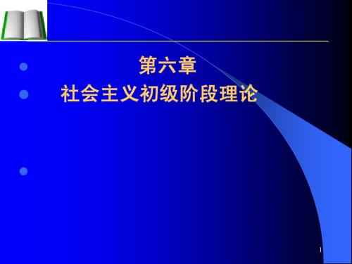 第六章 社会主义初级阶段理论