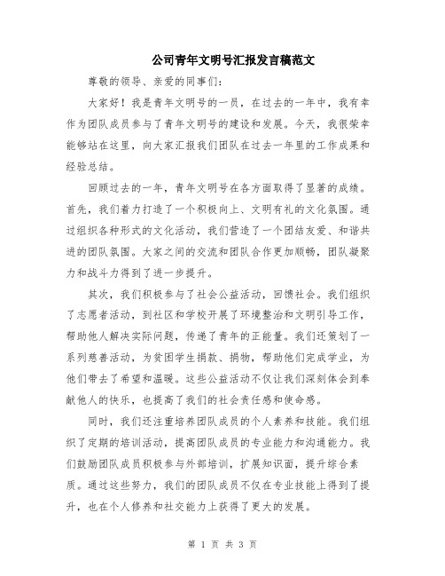 公司青年文明号汇报发言稿范文