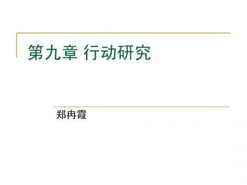 九、行动研究