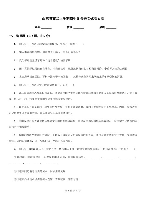 山东省高二上学期期中B卷语文试卷A卷