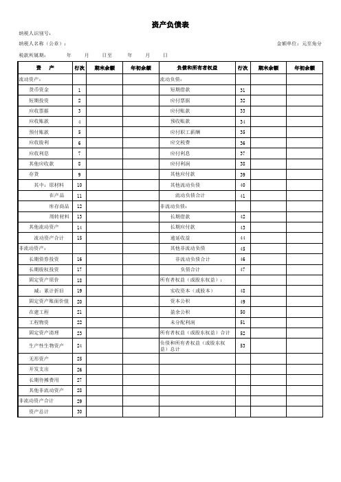 资产负债表(适用小规模纳税人)