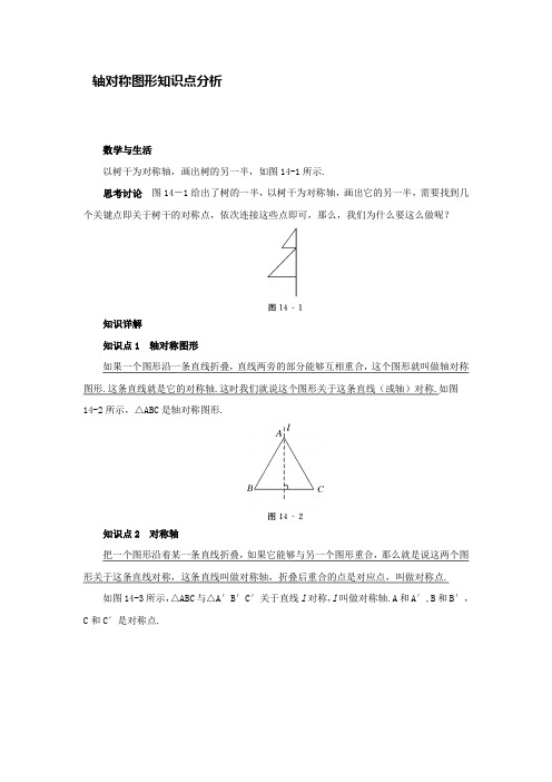 轴对称图形知识点分析