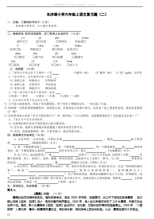 苏教版小学语文第十一册六年级上学期练习22