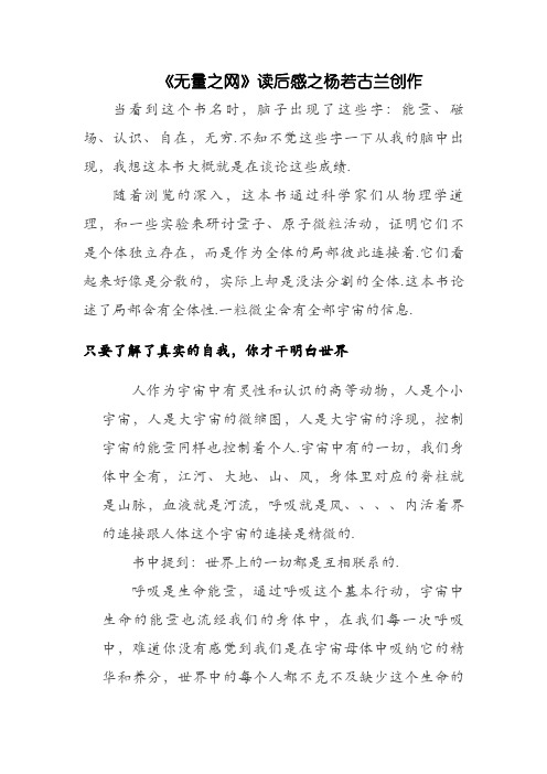 无量之网读后感