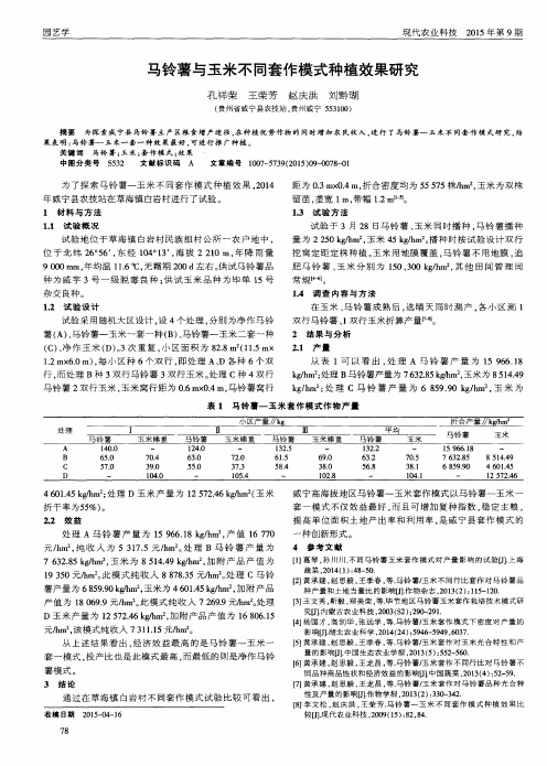 马铃薯与玉米不同套作模式种植效果研究