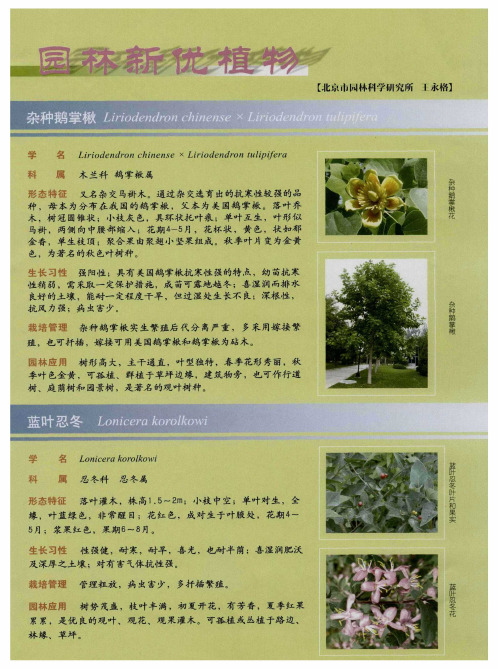 园林新优植物