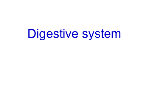 医学影像学专业英语Digestive system(4)