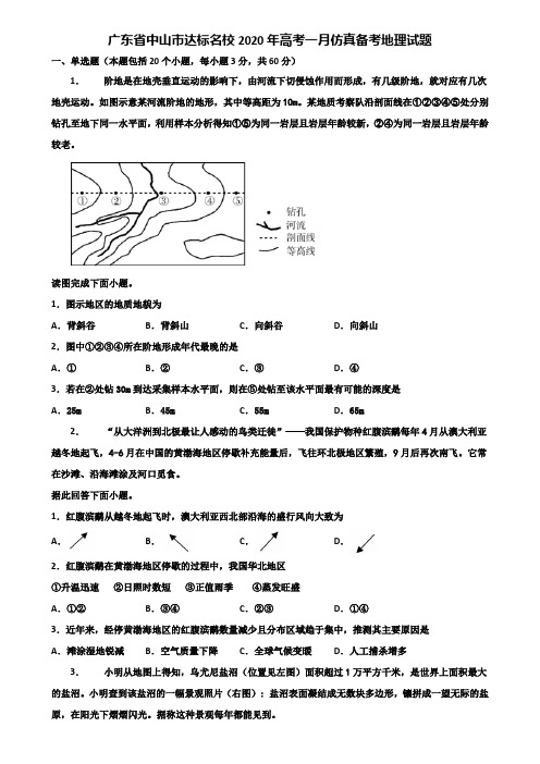 广东省中山市达标名校2020年高考一月仿真备考地理试题含解析