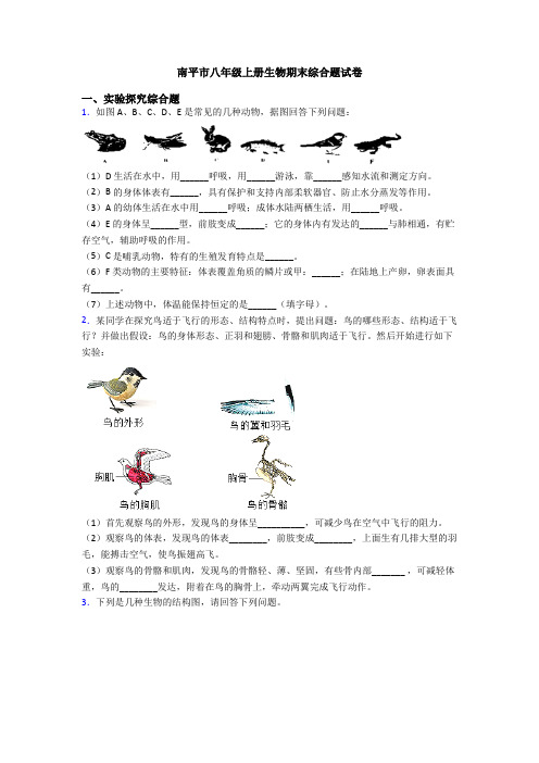 南平市八年级上册生物期末综合题试卷