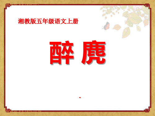 202X春湘教版语文五上《醉麂》ppt课件