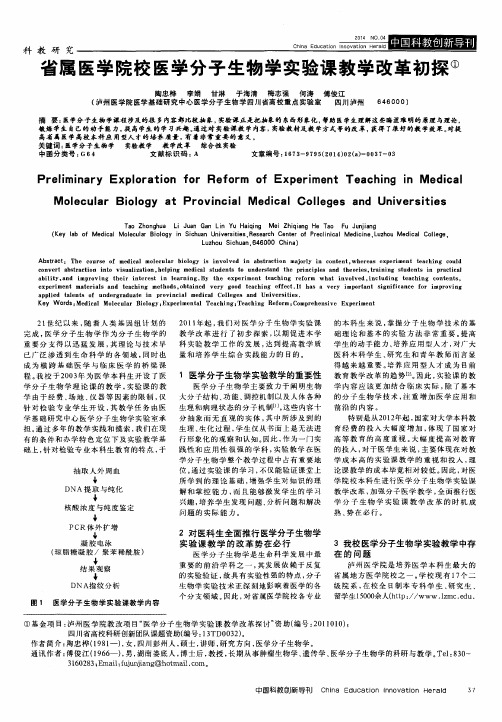 省属医学院校医学分子生物学实验课教学改革初探