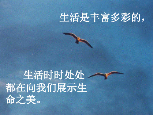 《海燕》PPT课件