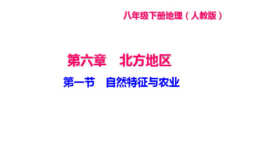 人教版八年级下册地理作业课件(RJ) 第六章 北方地区 第一节 自然特征与农业