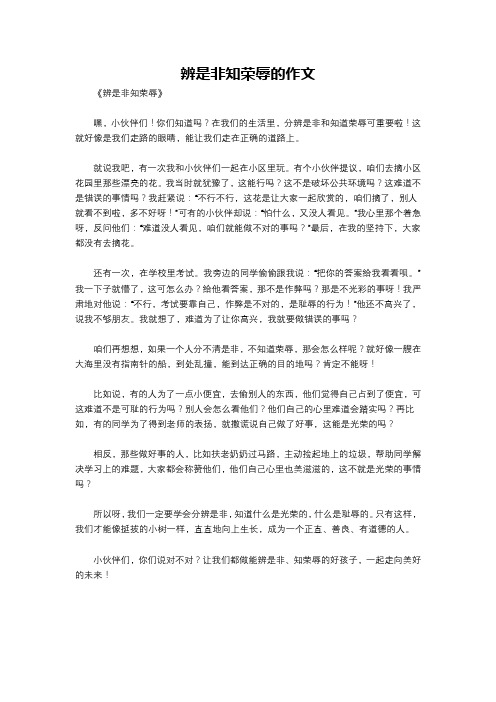 辨是非知荣辱的作文