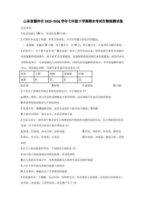 山东省滕州市2023-2024学年七年级下学期期末考试生物检测试卷(附答案)