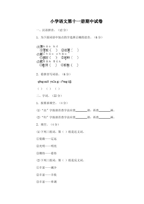 小学语文第十一册期中试卷