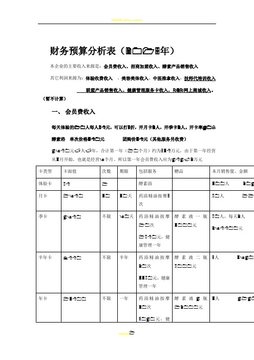 财务预算分析表